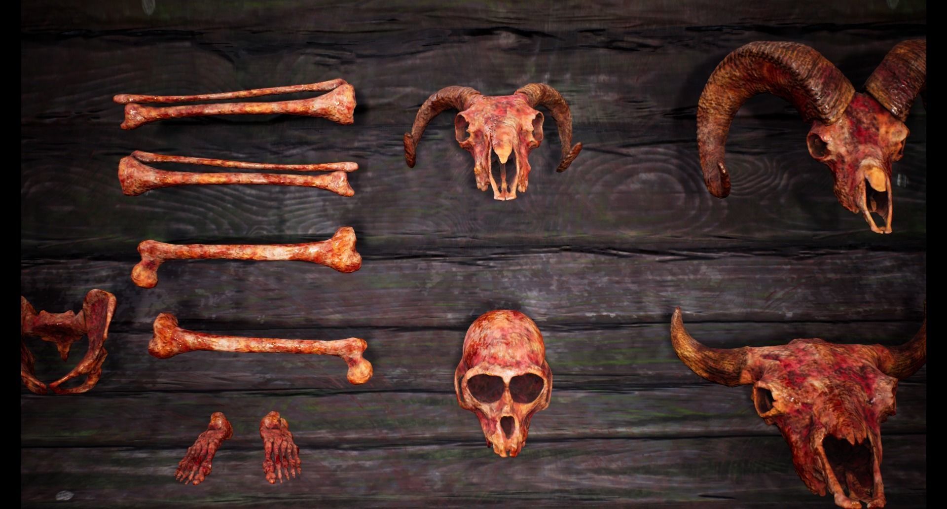 Mega body and bones parts with skulls collection Low-poly 3D model_38