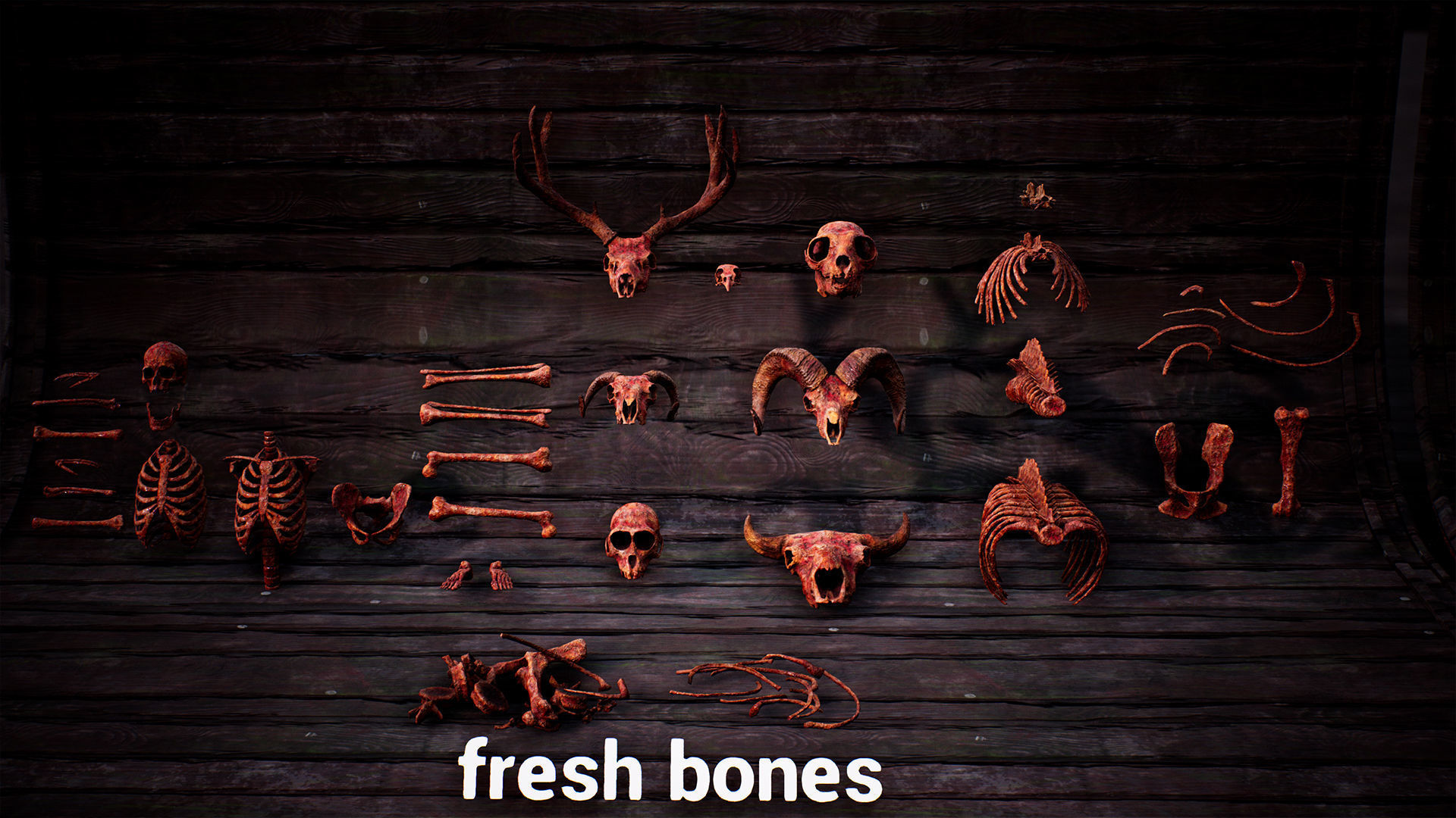 Mega body and bones parts with skulls collection Low-poly 3D model_5