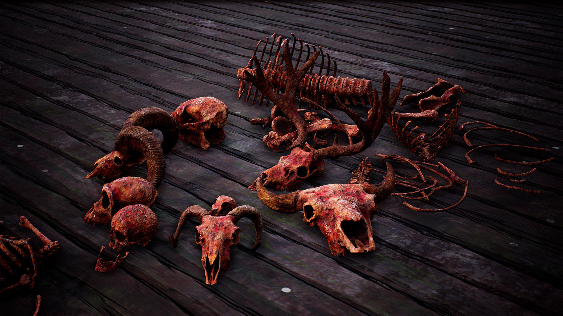 Mega body and bones parts with skulls collection Low-poly 3D model_16