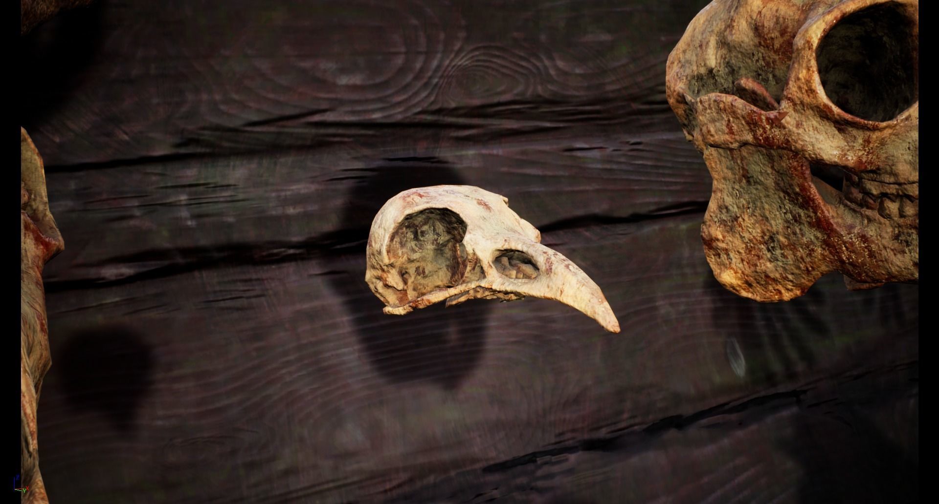 Mega body and bones parts with skulls collection Low-poly 3D model_41