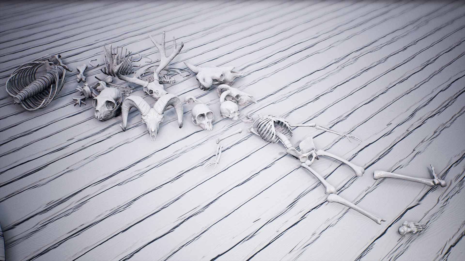 Mega body and bones parts with skulls collection Low-poly 3D model_51