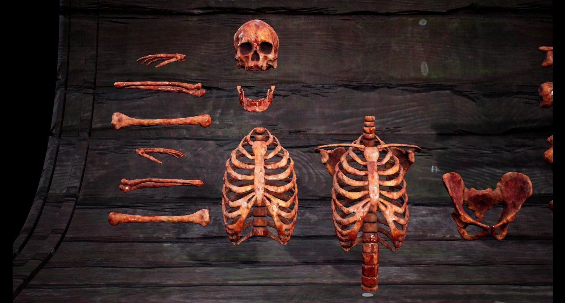 Mega body and bones parts with skulls collection Low-poly 3D model_30