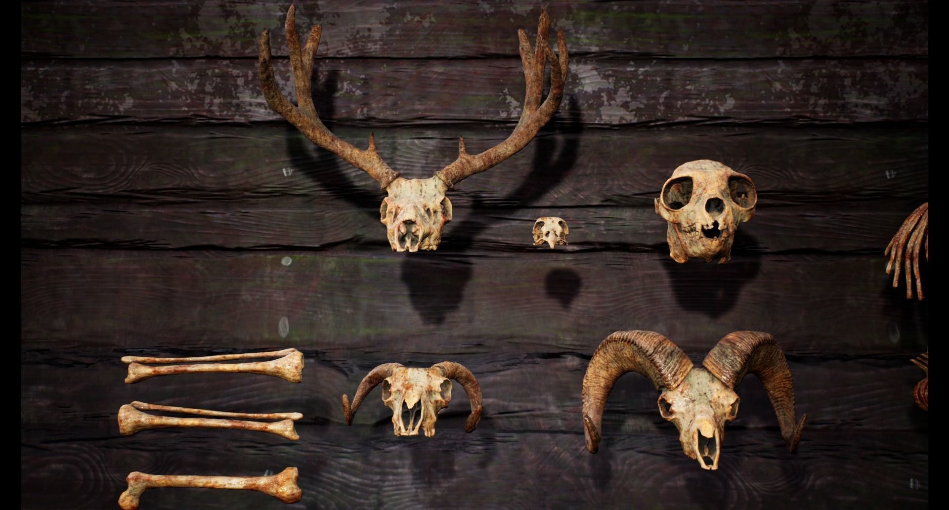 Mega body and bones parts with skulls collection Low-poly 3D model_29