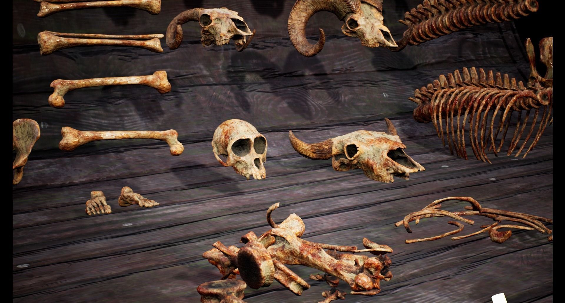 Mega body and bones parts with skulls collection Low-poly 3D model_24