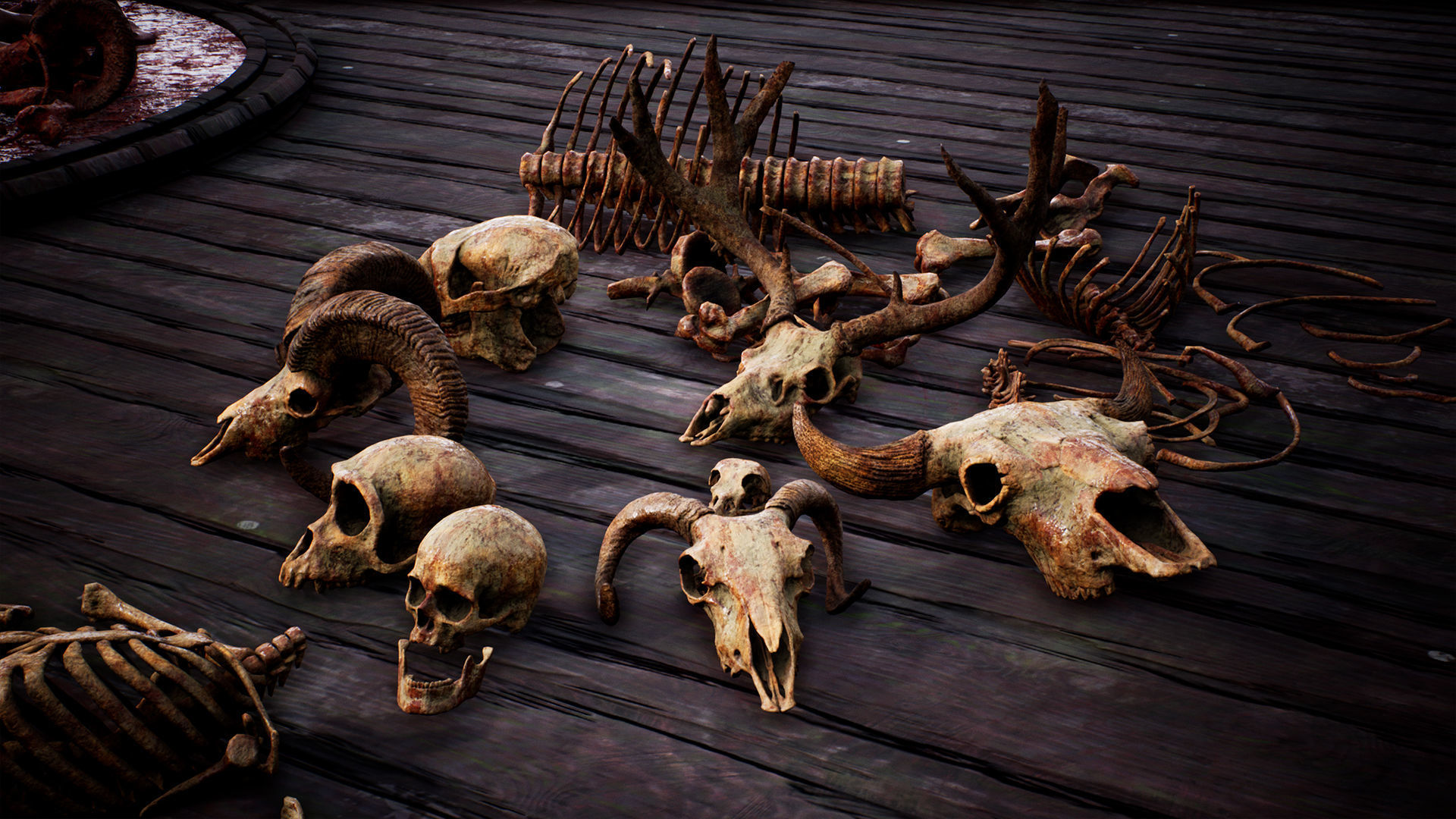 Mega body and bones parts with skulls collection Low-poly 3D model_11