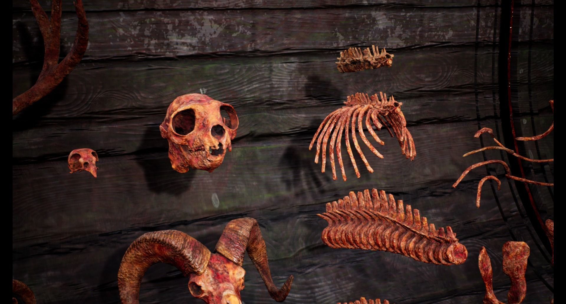 Mega body and bones parts with skulls collection Low-poly 3D model_34