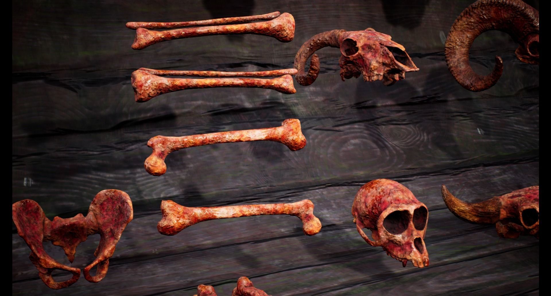 Mega body and bones parts with skulls collection Low-poly 3D model_32