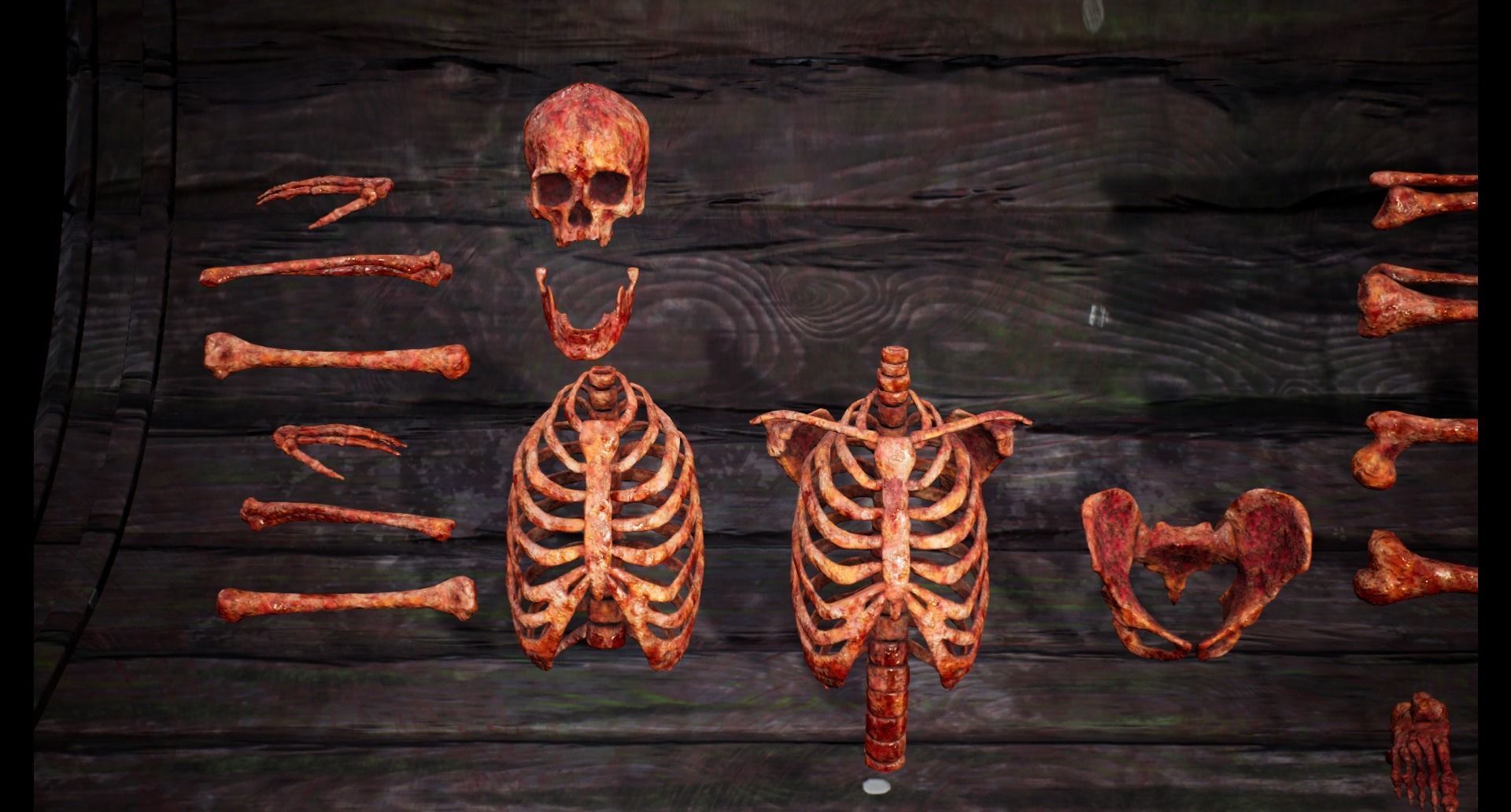 Mega body and bones parts with skulls collection Low-poly 3D model_40