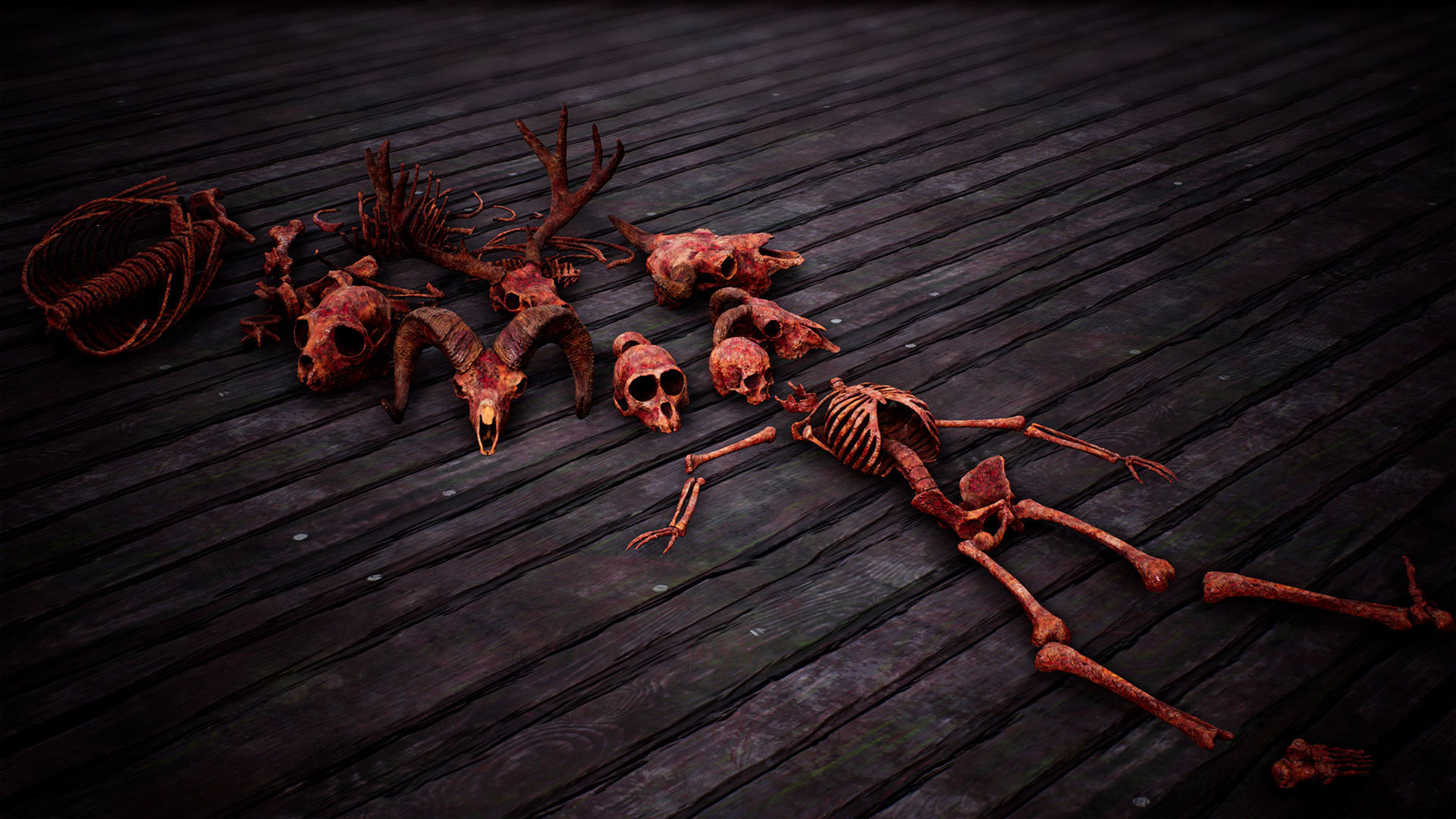 Mega body and bones parts with skulls collection Low-poly 3D model_3