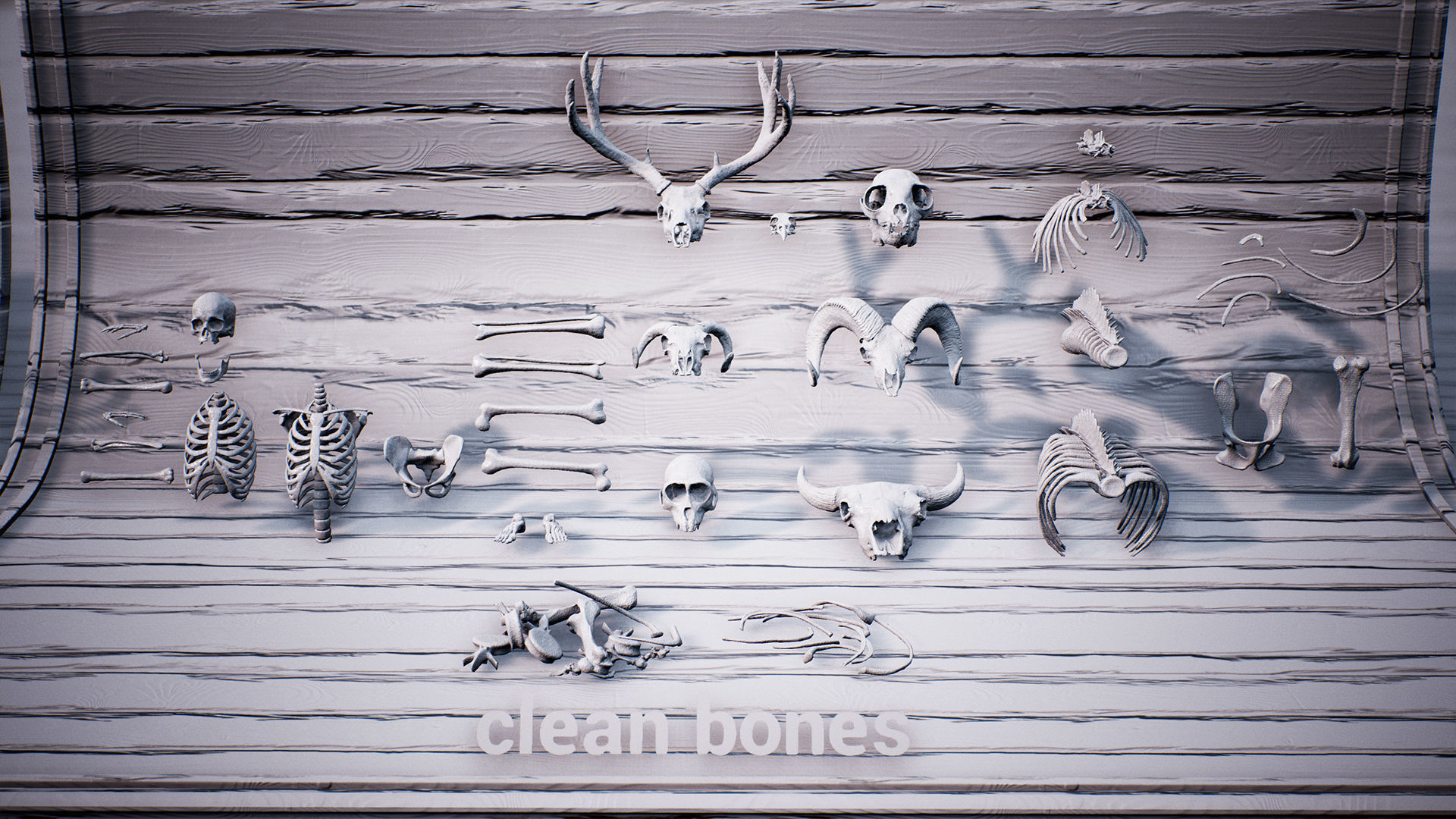 Mega body and bones parts with skulls collection Low-poly 3D model_53