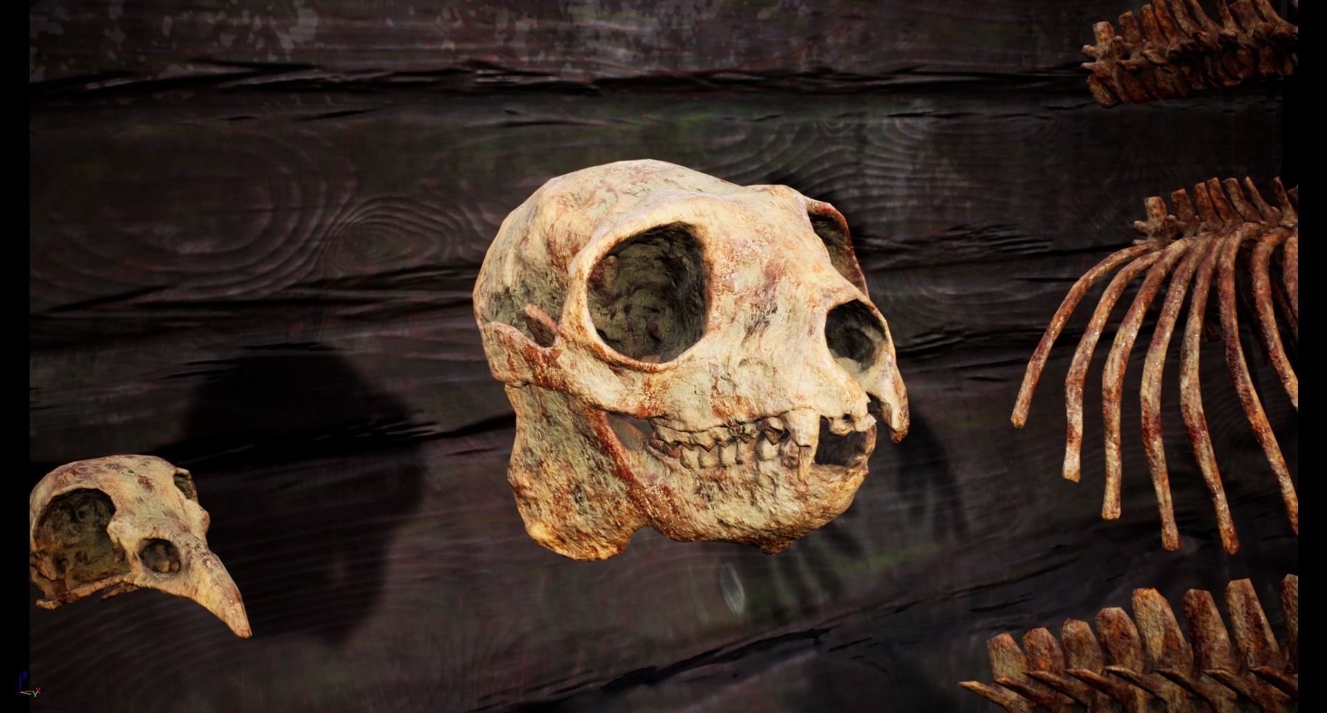 Mega body and bones parts with skulls collection Low-poly 3D model_45