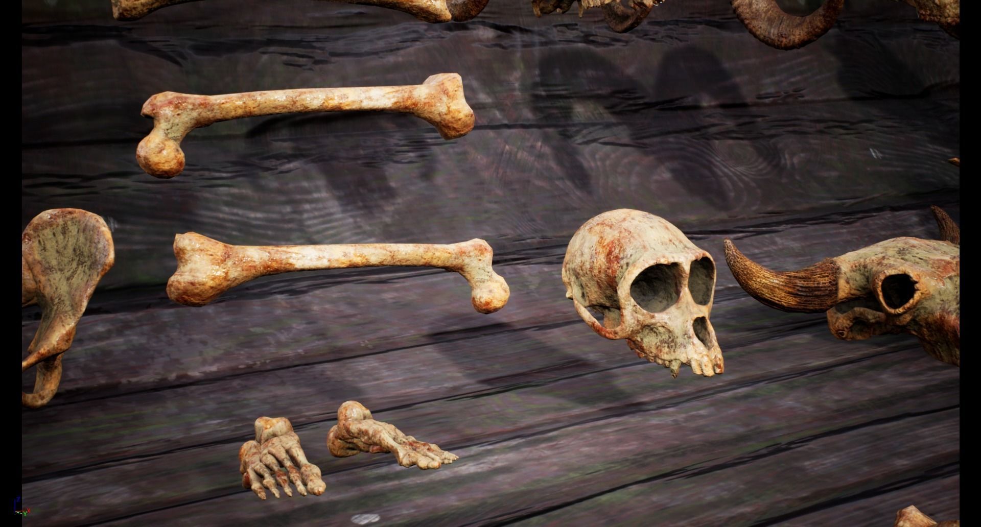 Mega body and bones parts with skulls collection Low-poly 3D model_17