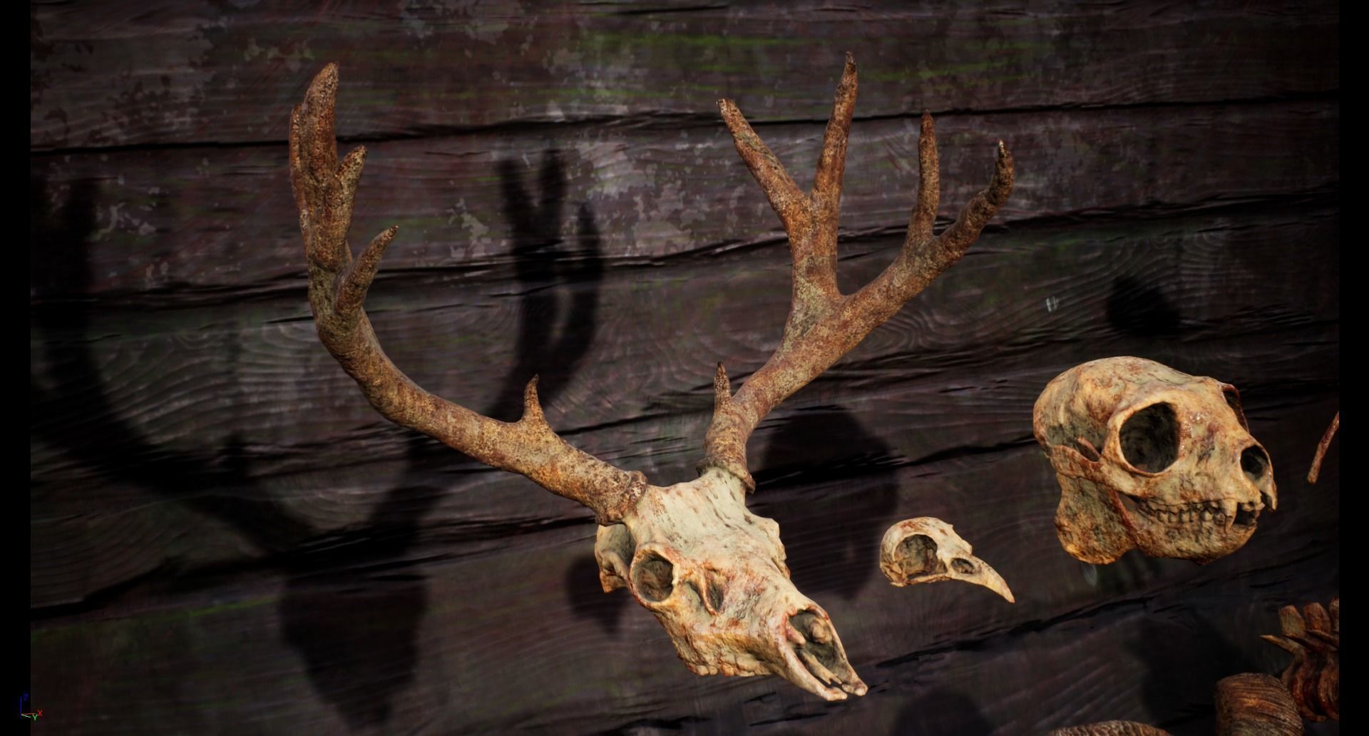 Mega body and bones parts with skulls collection Low-poly 3D model_21