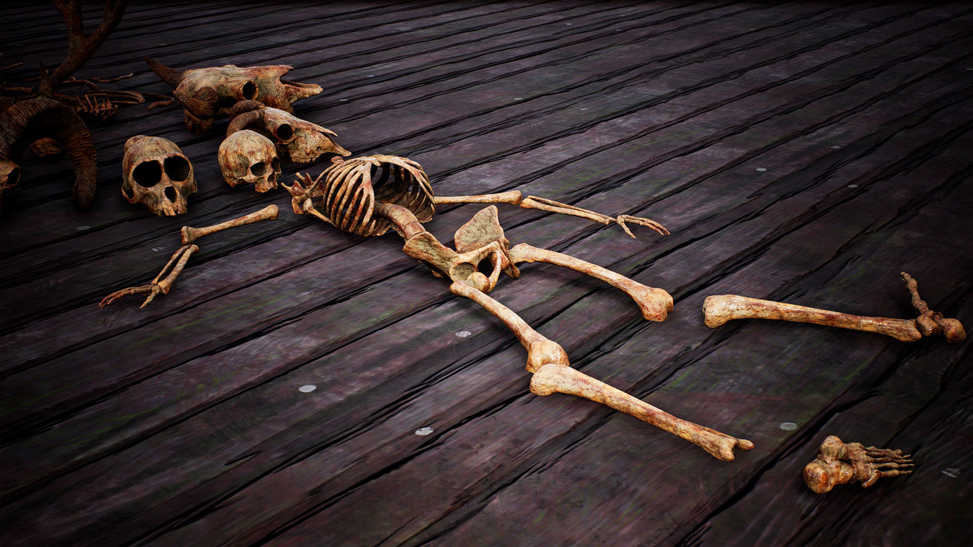 Mega body and bones parts with skulls collection Low-poly 3D model_14