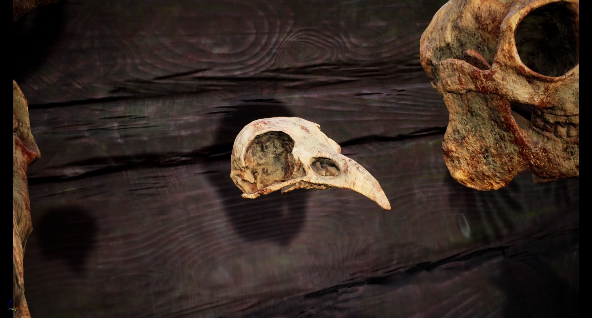 Mega body and bones parts with skulls collection Low-poly 3D model_46