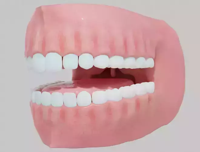 MOUTH human with teeth