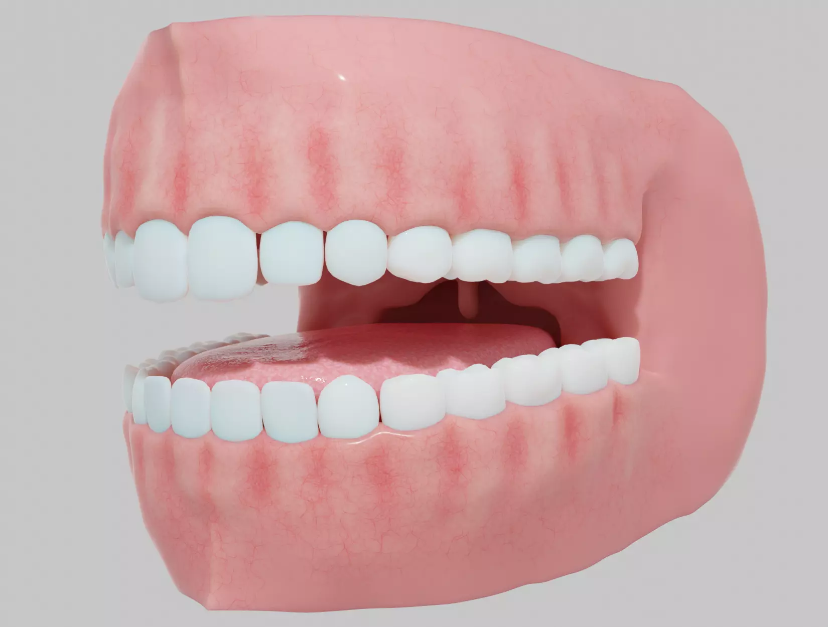 MOUTH human with teeth 3D model_0