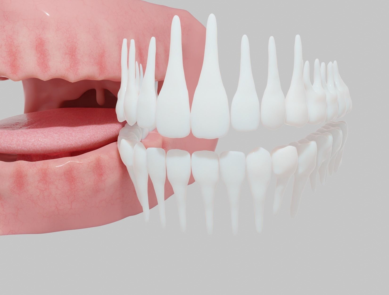 MOUTH human with teeth 3D model_4