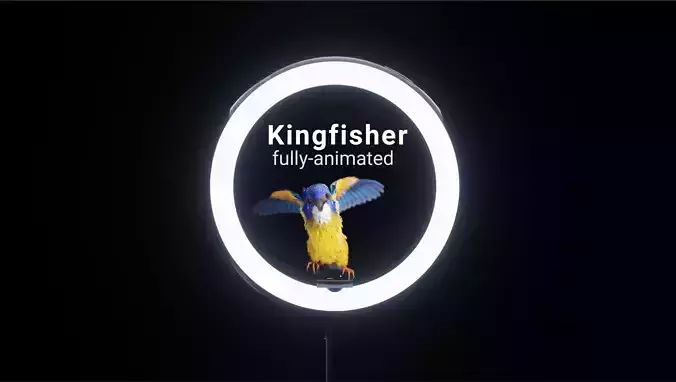 Kingfisher - Fully Animated Low-poly 3D model