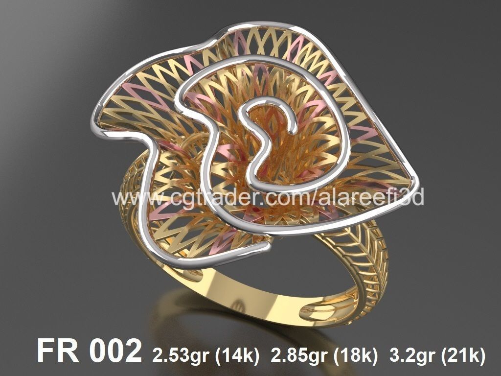 The Offer002  8Ultra vision Rings very modern for the first time 3D print model_1