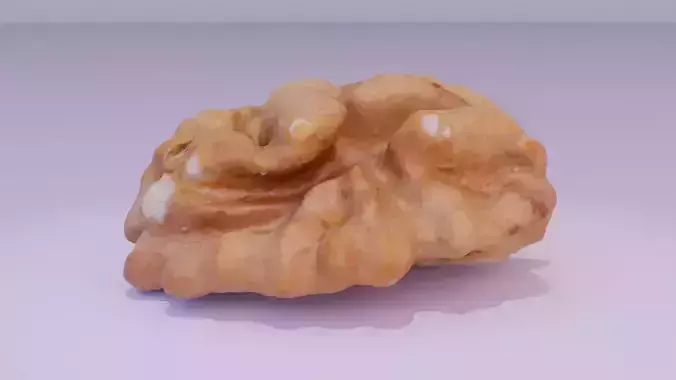 Walnut half kernel 01 high-poly