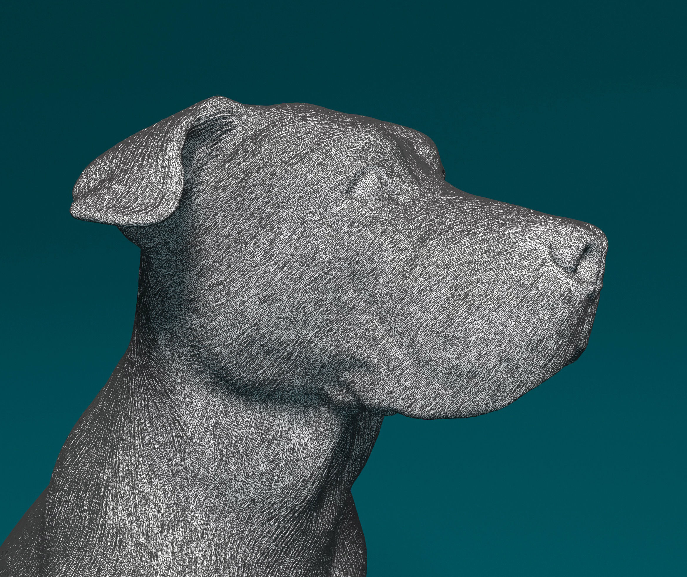 American Bulldog 3D print model_5