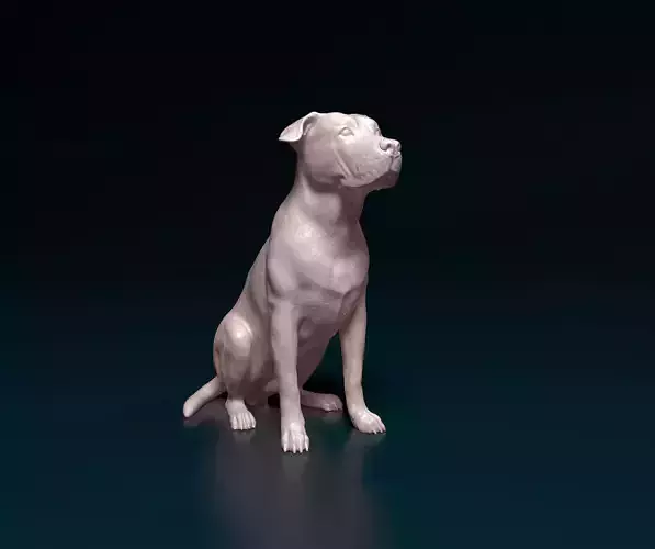 American Bulldog