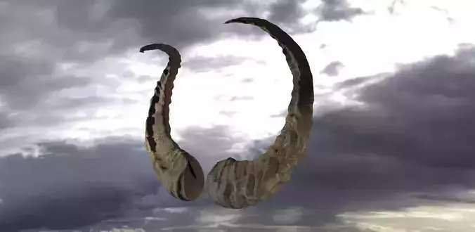 Dragon Horns 3D 3D model