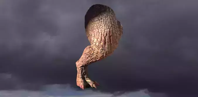 Dragon leg Red Fin 3D model