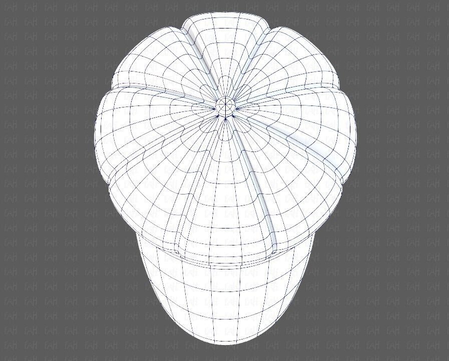 Cap V14 Low-poly 3D model_34