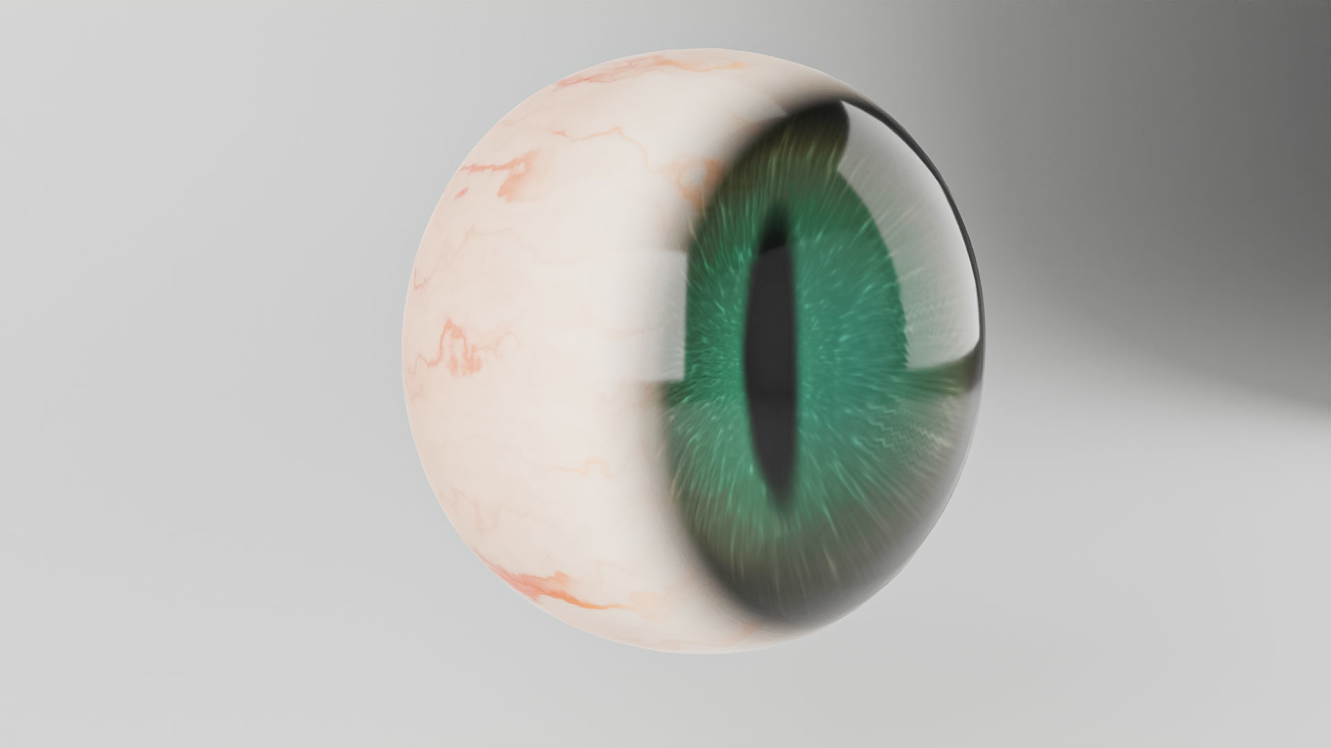 Cat Eye 3D model_3
