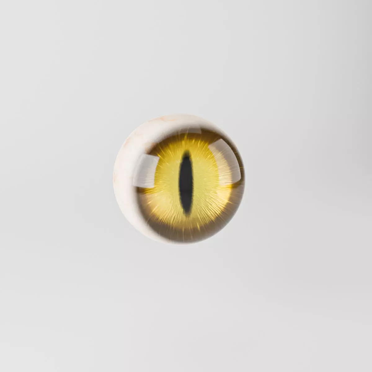 Cat Eye 3D model_0