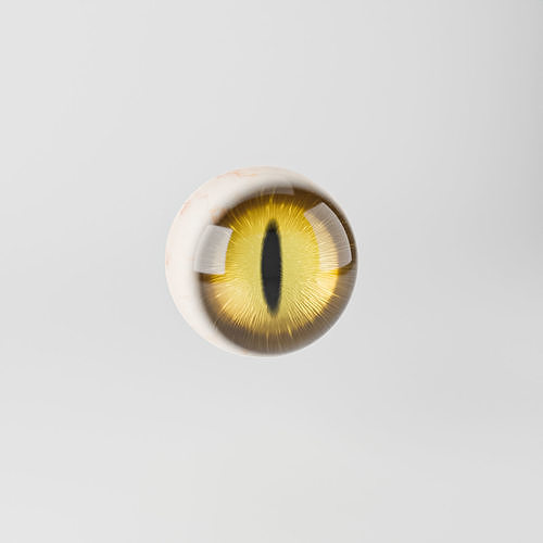 Cat Eye 3D model
