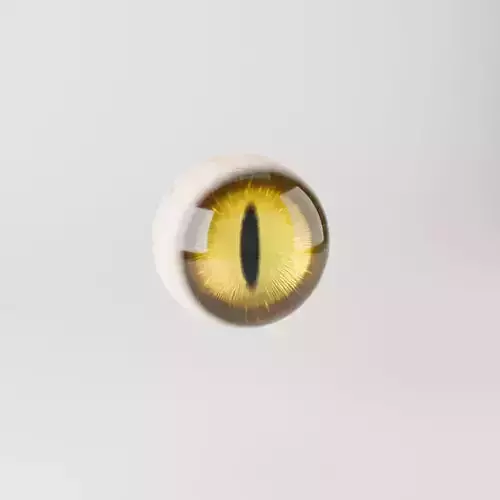 Cat Eye 3D model