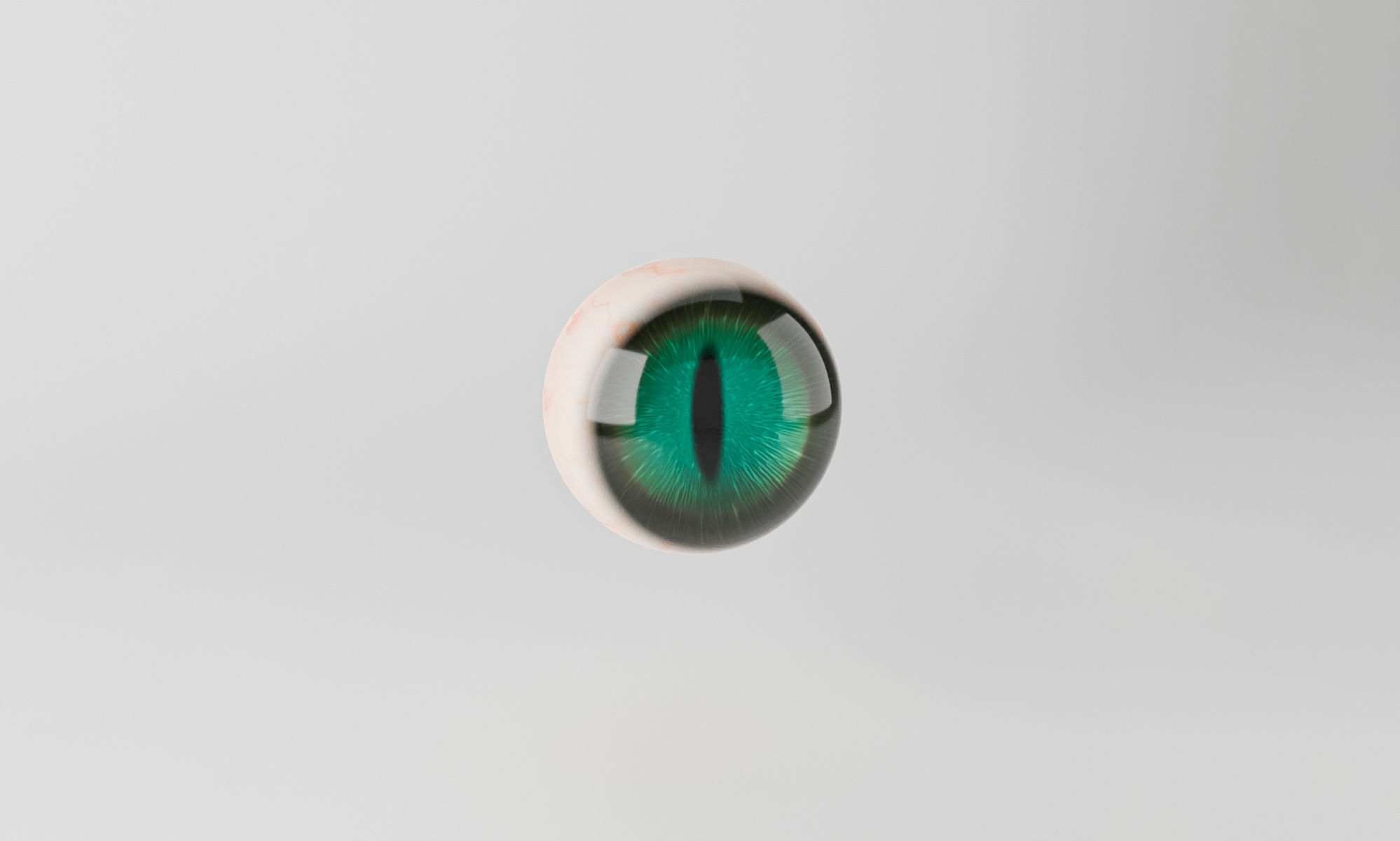 Cat Eye 3D model_1