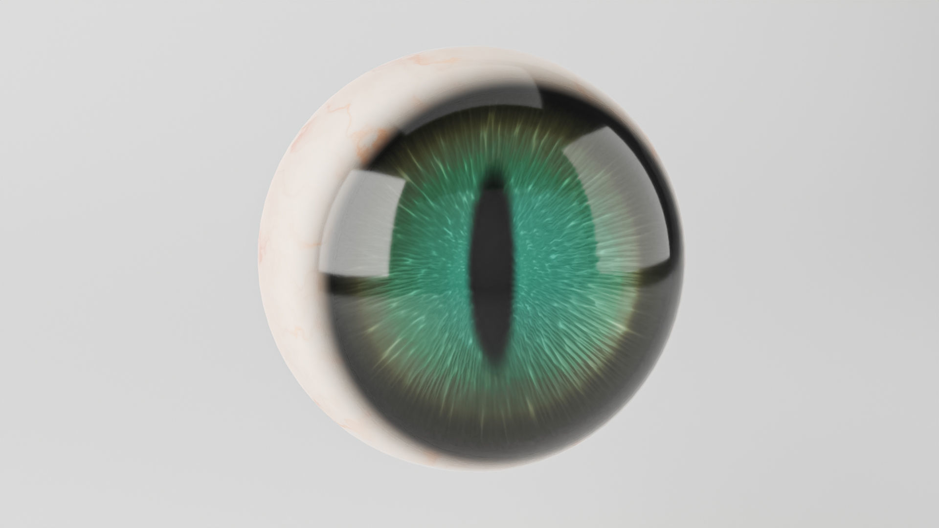 Cat Eye 3D model_2