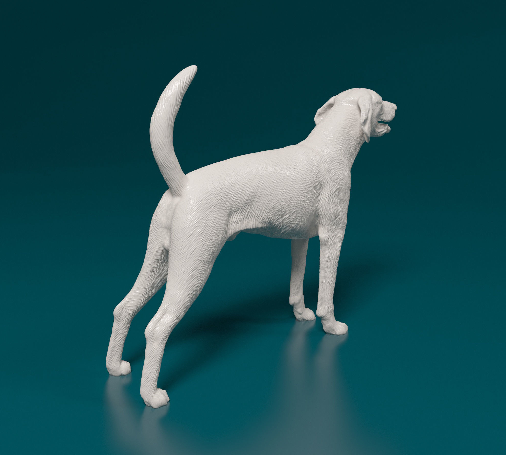 American Foxhound dog 3D print model_2