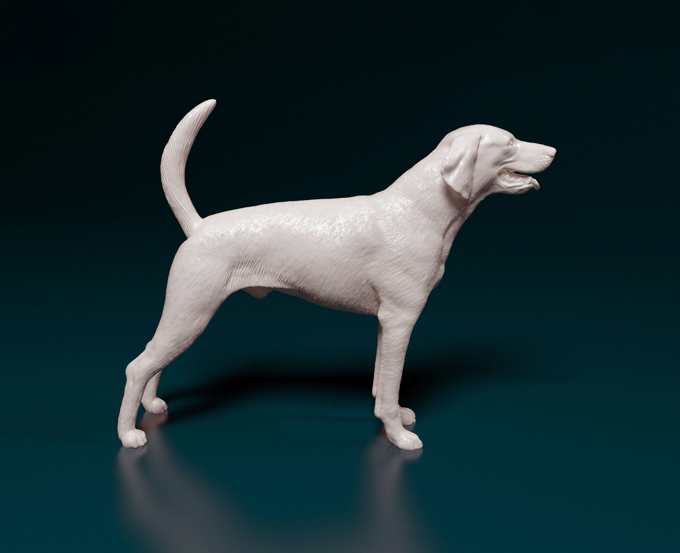American Foxhound dog 3D print model_1