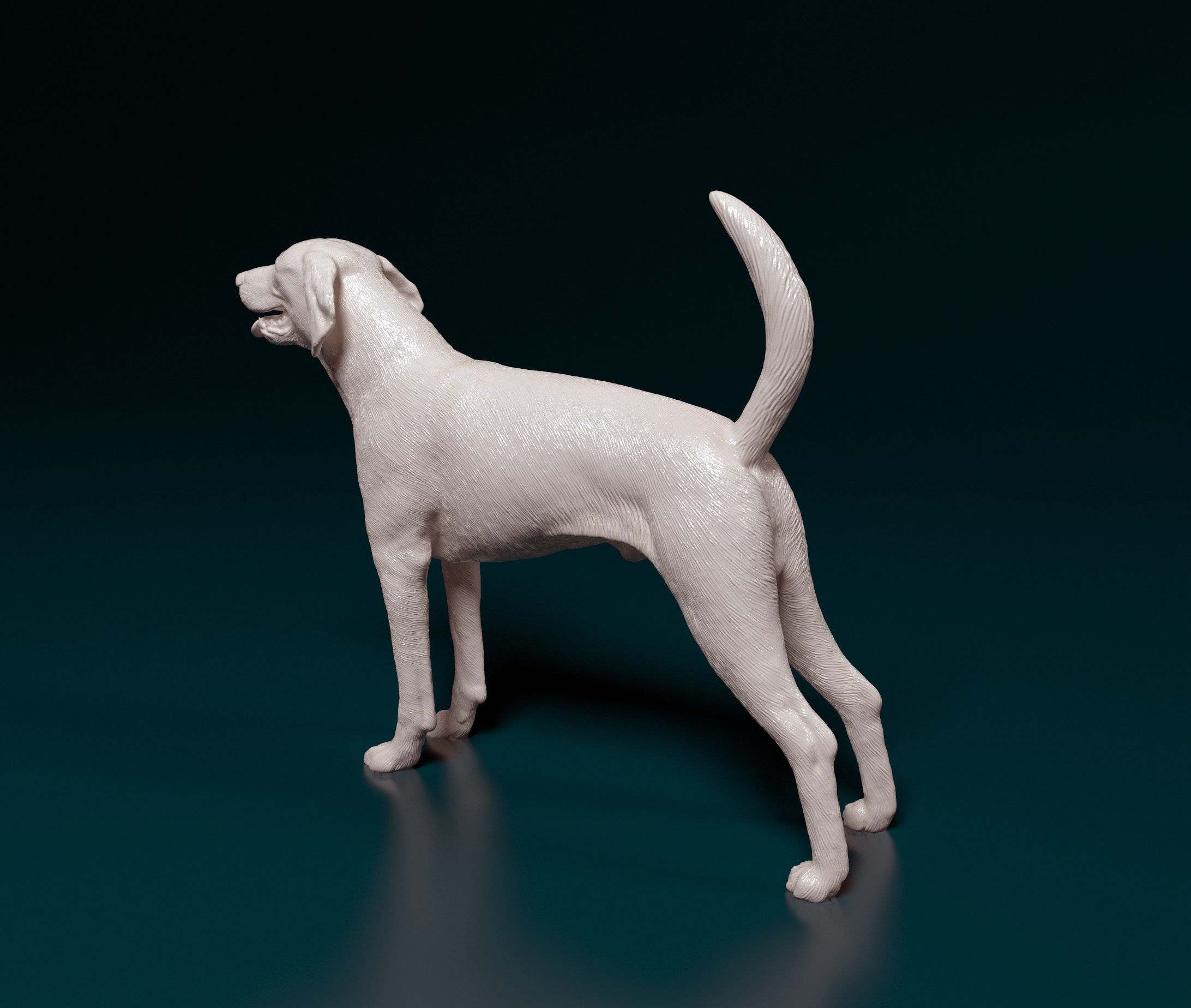 American Foxhound dog 3D print model_4