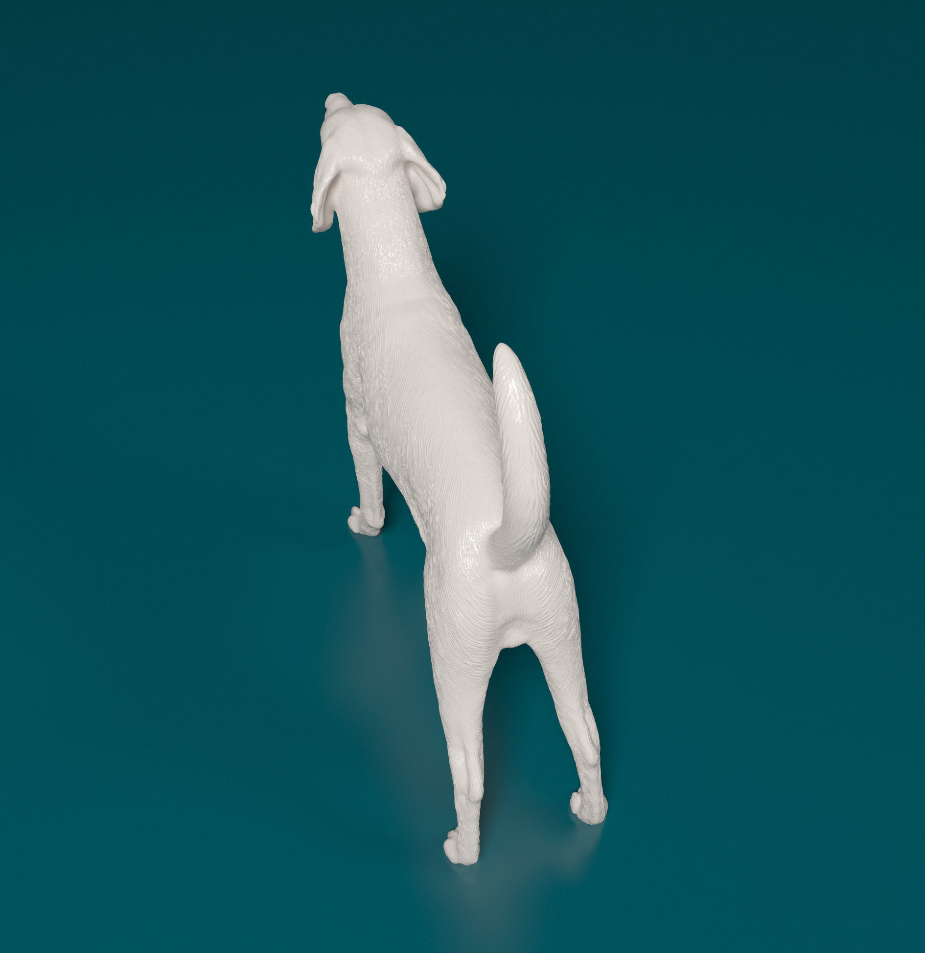 American Foxhound dog 3D print model_3
