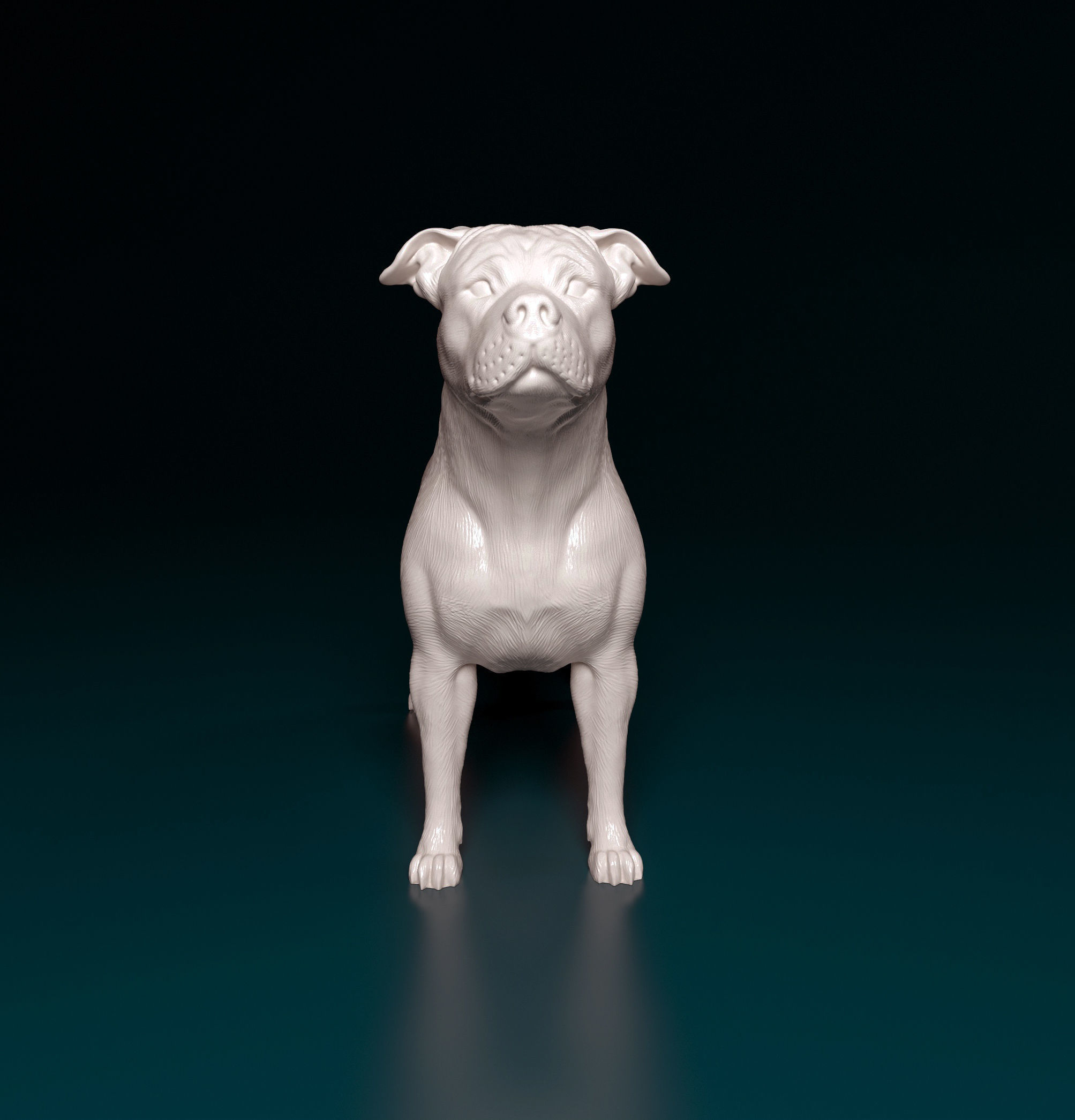 Amstaff dog 3D print model_6