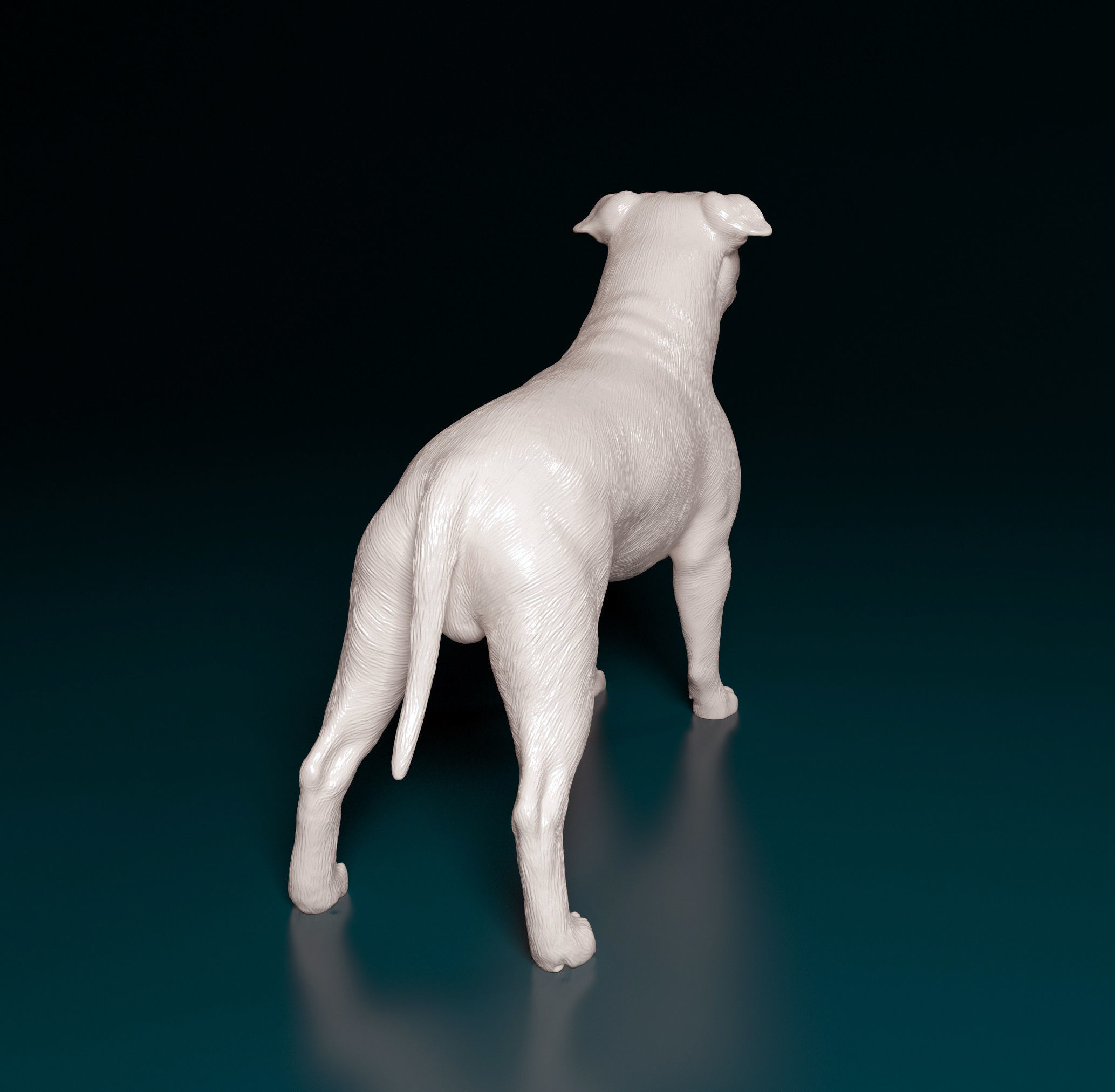 Amstaff dog 3D print model_2