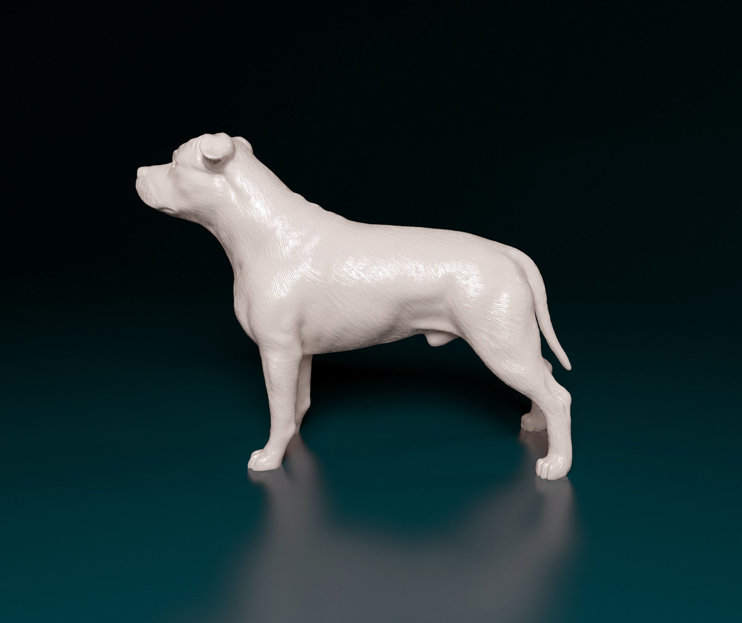 Amstaff dog 3D print model_4