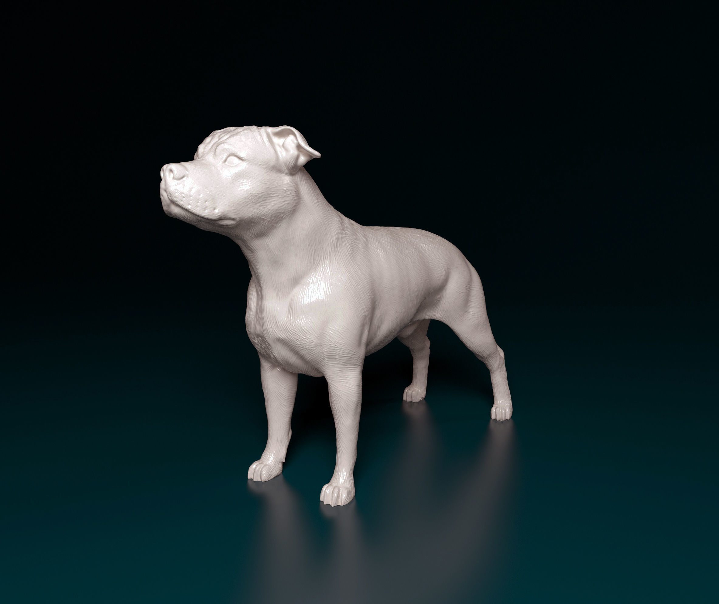 Amstaff dog 3D print model_5