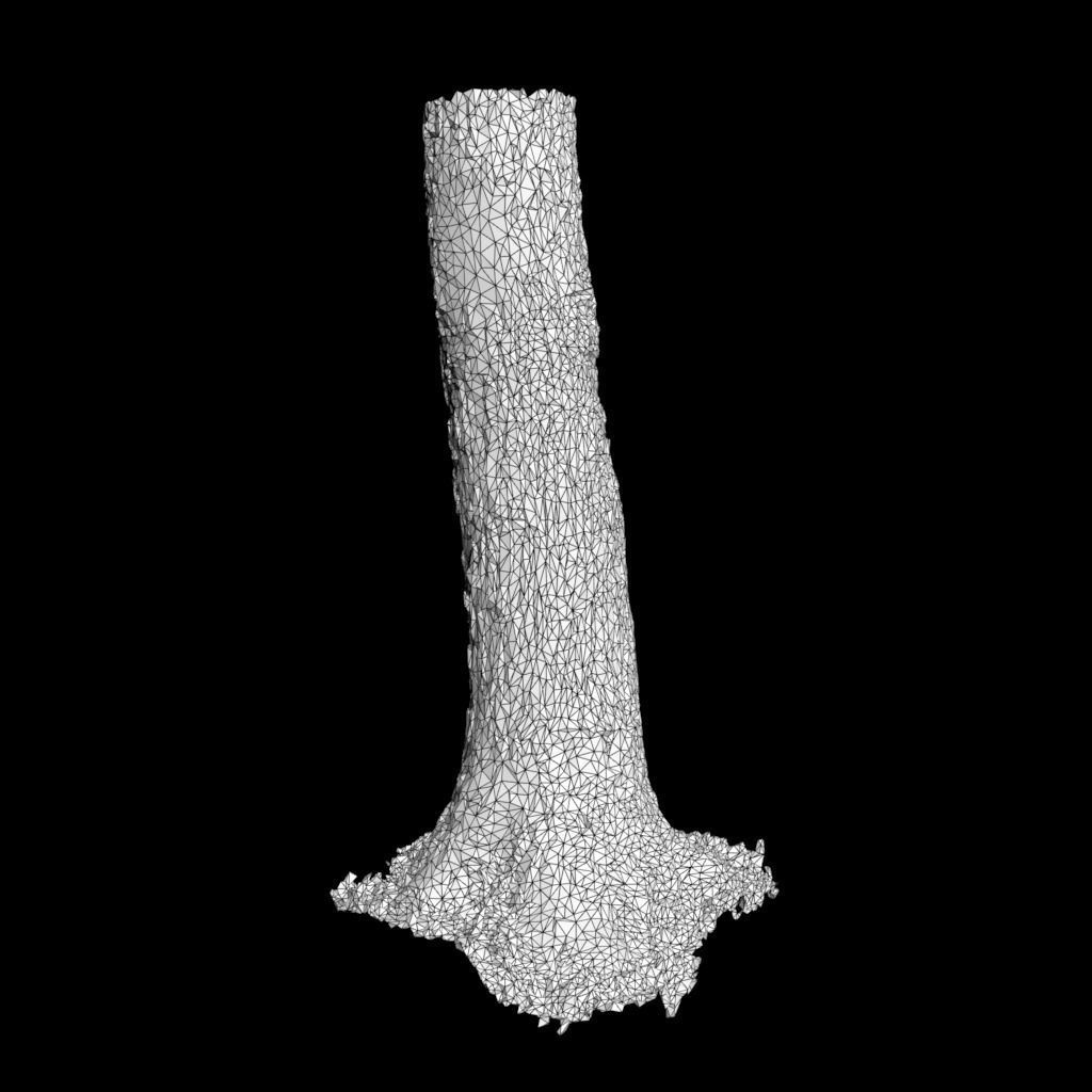 Low poly - High poly Trunk 01 - Photogrammetry Low-poly 3D model_7