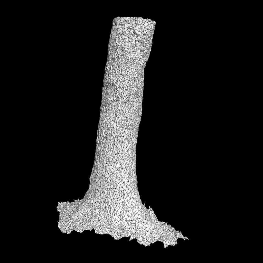 Low poly - High poly Trunk 01 - Photogrammetry Low-poly 3D model_11
