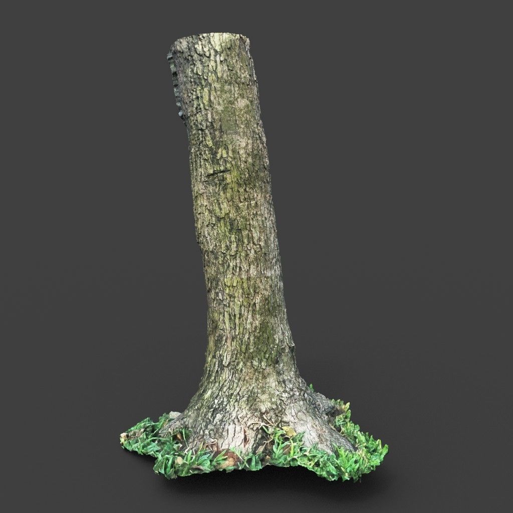 Low poly - High poly Trunk 01 - Photogrammetry Low-poly 3D model_2