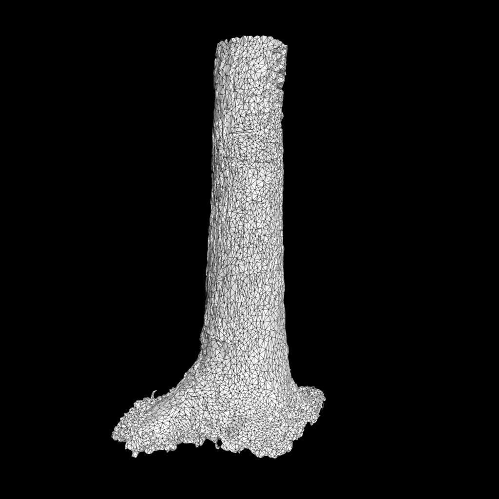 Low poly - High poly Trunk 01 - Photogrammetry Low-poly 3D model_9