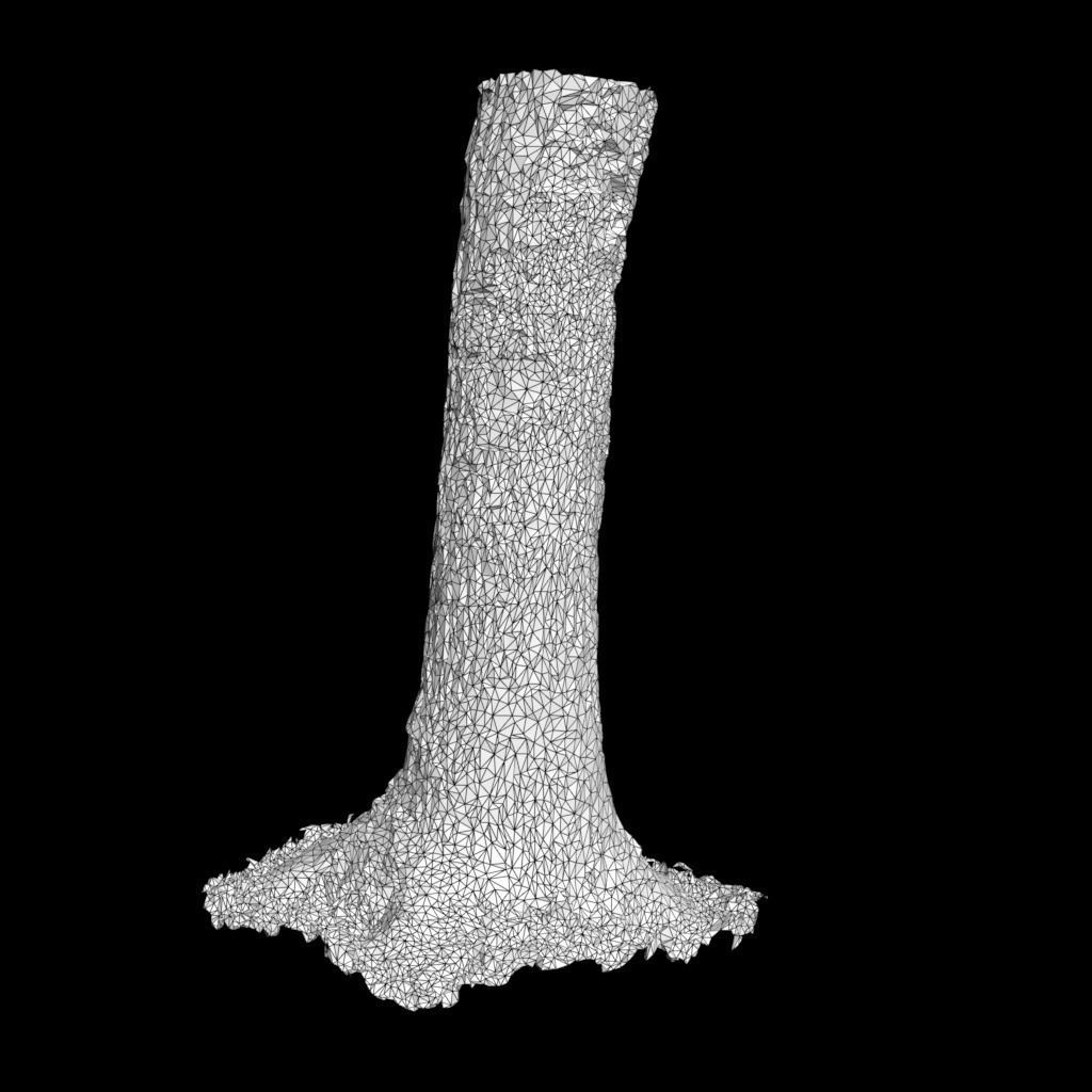 Low poly - High poly Trunk 01 - Photogrammetry Low-poly 3D model_10