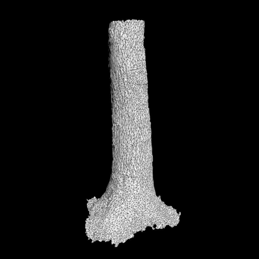 Low poly - High poly Trunk 01 - Photogrammetry Low-poly 3D model_8